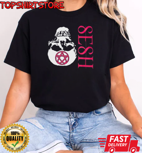 Seshagram 2024 T-Shirt Classic Women's T-shirt