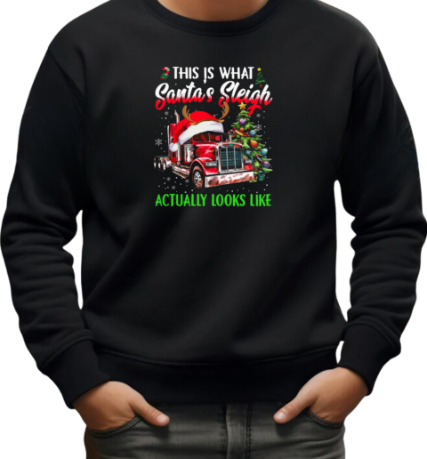 This Is What Santa's Sleigh Actually Looks T-Shirt Unisex Sweatshirt