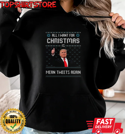 Trump All I Want For Christmas Mean Tweets Again Ugly Christmas 2024 T-Shirt Unisex Hoodie