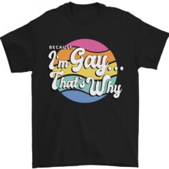 Lgbt Im Gay Es Decir Why Orgullo Conciencia Camiseta Hombre T-shirt