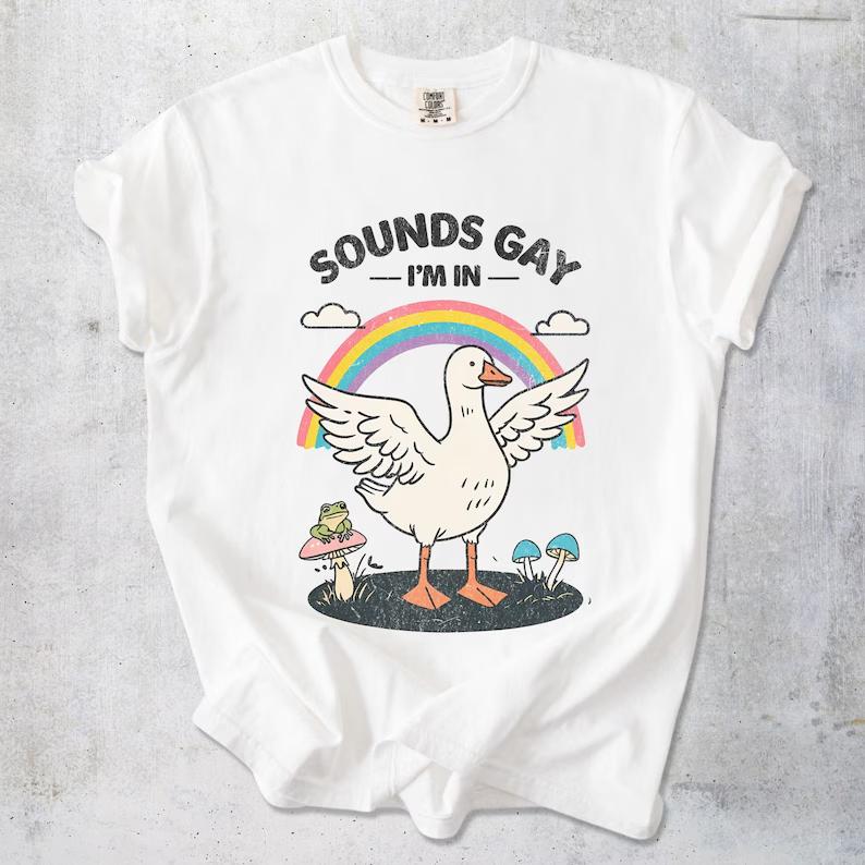 Silly Goose Sounds Gay I'm In Rainbow TShirts