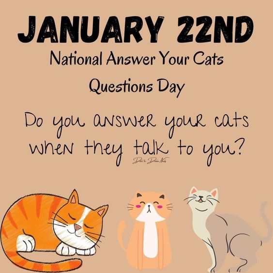 Why Every Cat Lover Needs the Bonus: National Answer Your Cat’s Questions Day T-shirt