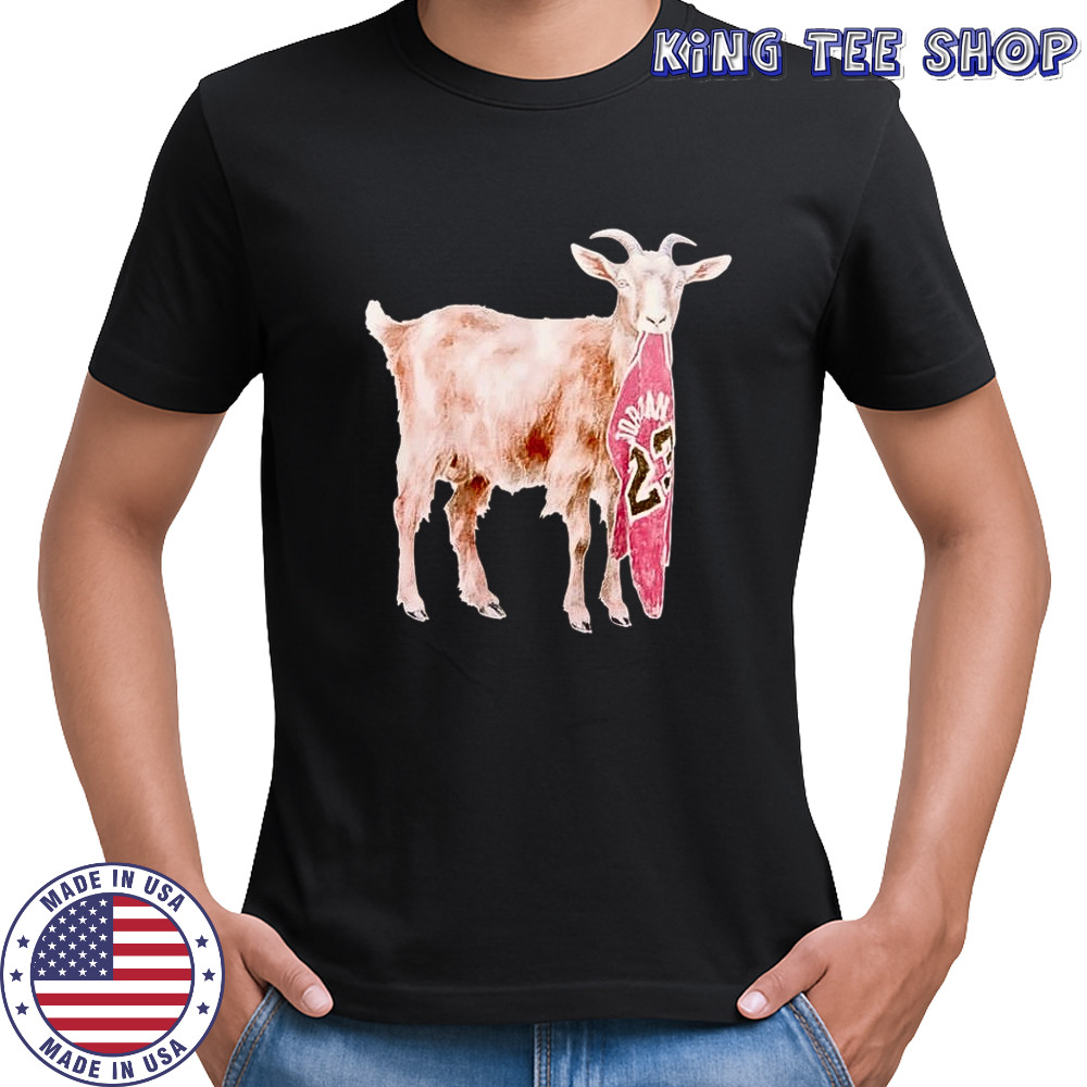 Jordan Brand GOAT Jersey shirt