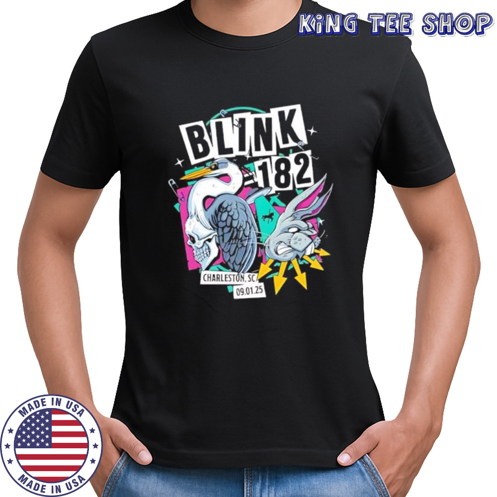 Blink 182 charleston south carolina 2025 venue at credit one stadium missionary impossible tour shirt