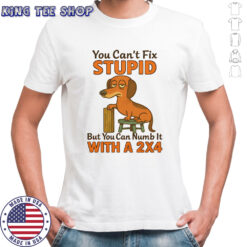 Dachshund you can’t fix stupid but you can numb it with a 2×4 shirt
