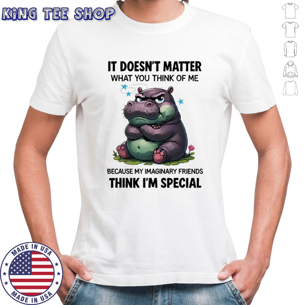 Grumpy Hippo it doesn’t matter what you think of me because my imaginary friends think I’m special shirt