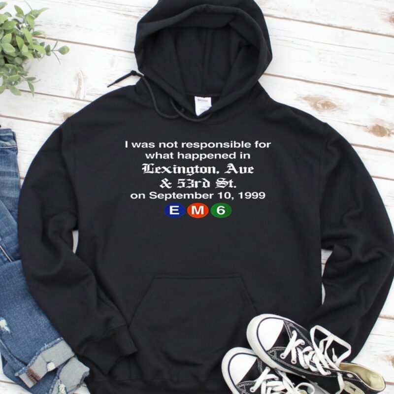 EM6 I was not responsible for what happened in Lexington Ave_Hoodie