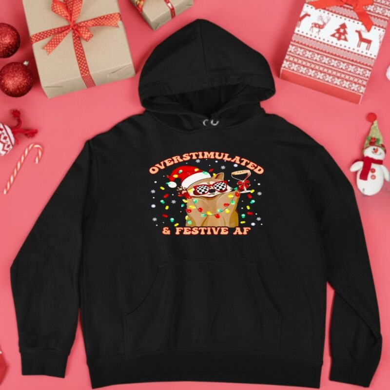 Raccoon overstimulated and festive af_Hoodie